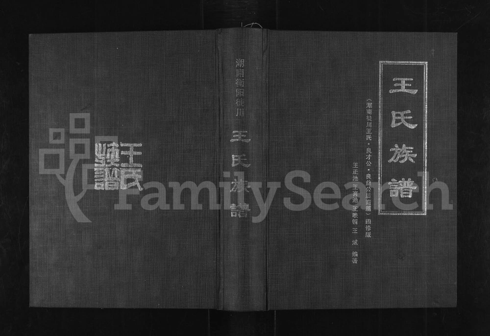图片[1]-四川南充仪陇县王氏族谱湖南徙川王氏良才公良益公后裔篇电子版PDF下载-中华家谱网