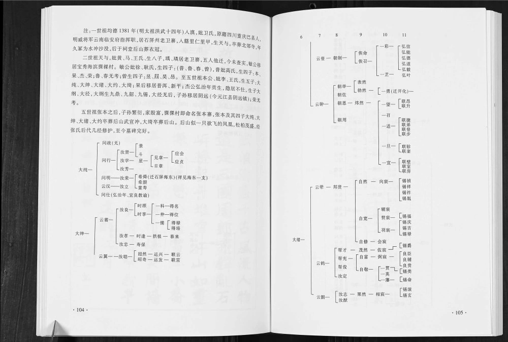 图片[3]-云南曲靖罗平板桥宗支张氏家谱电子版PDF下载-中华家谱网