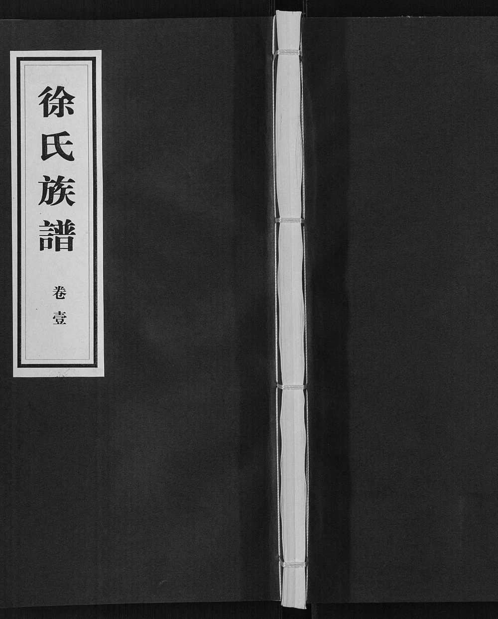 图片[1]-山东临沂沂水县徐氏族谱电子版PDF下载-中华家谱网