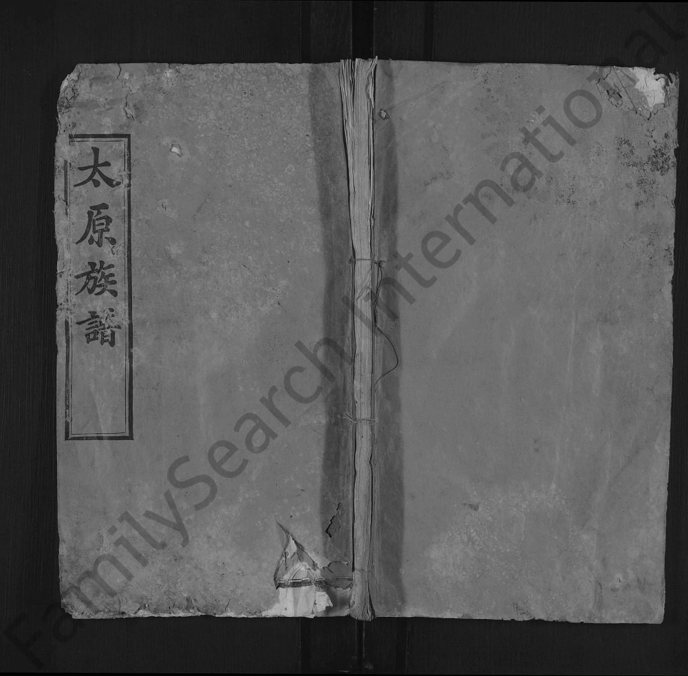 图片[1]-湖北黄冈红安县太原天水王氏谱电子版PDF下载-中华家谱网