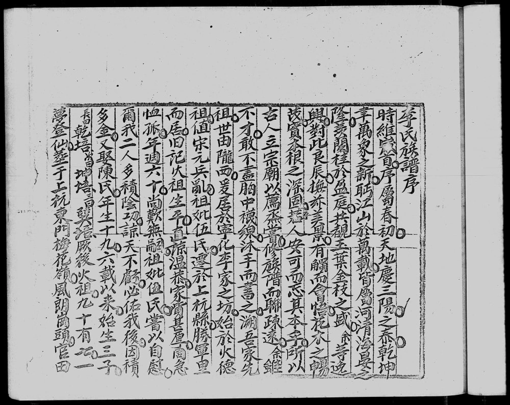 图片[2]-广东深圳宝安区李氏族谱电子版PDF下载-中华家谱网
