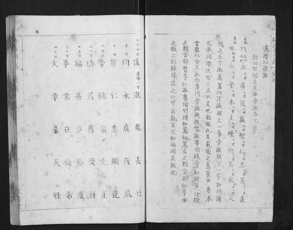 图片[5]-安徽安庆潜山县潜阳胡氏支谱（敦睦堂）电子版PDF下载-中华家谱网