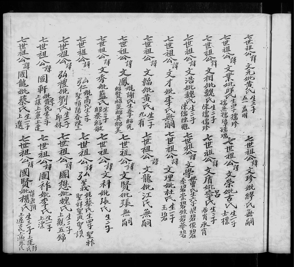 图片[7]-福建福州长乐区陈氏源流族薄电子版PDF下载-中华家谱网