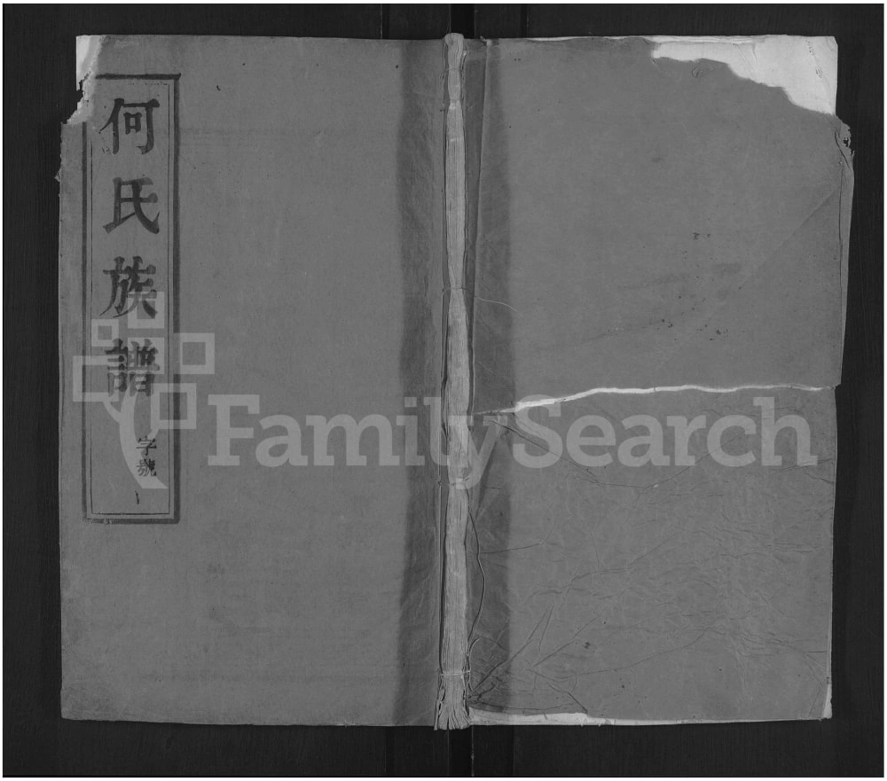 图片[1]-江苏扬州维扬江都何氏重修族谱电子版PDF下载-中华家谱网