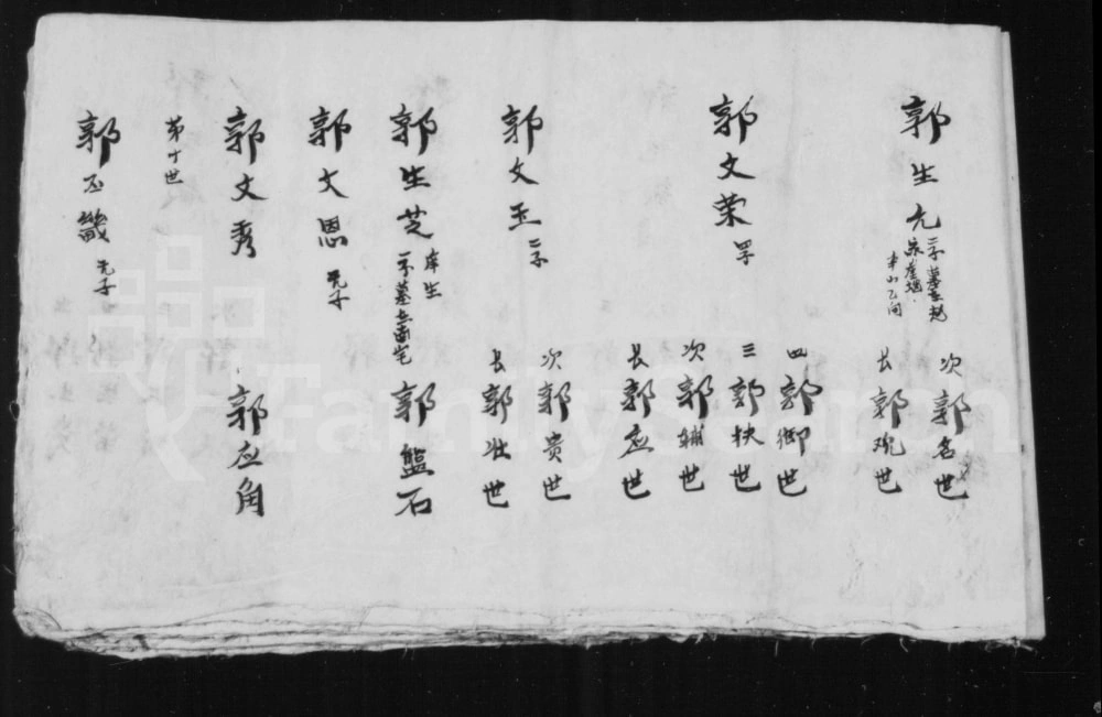 图片[8]-山西长治沁县郭氏家谱电子版PDF下载-中华家谱网