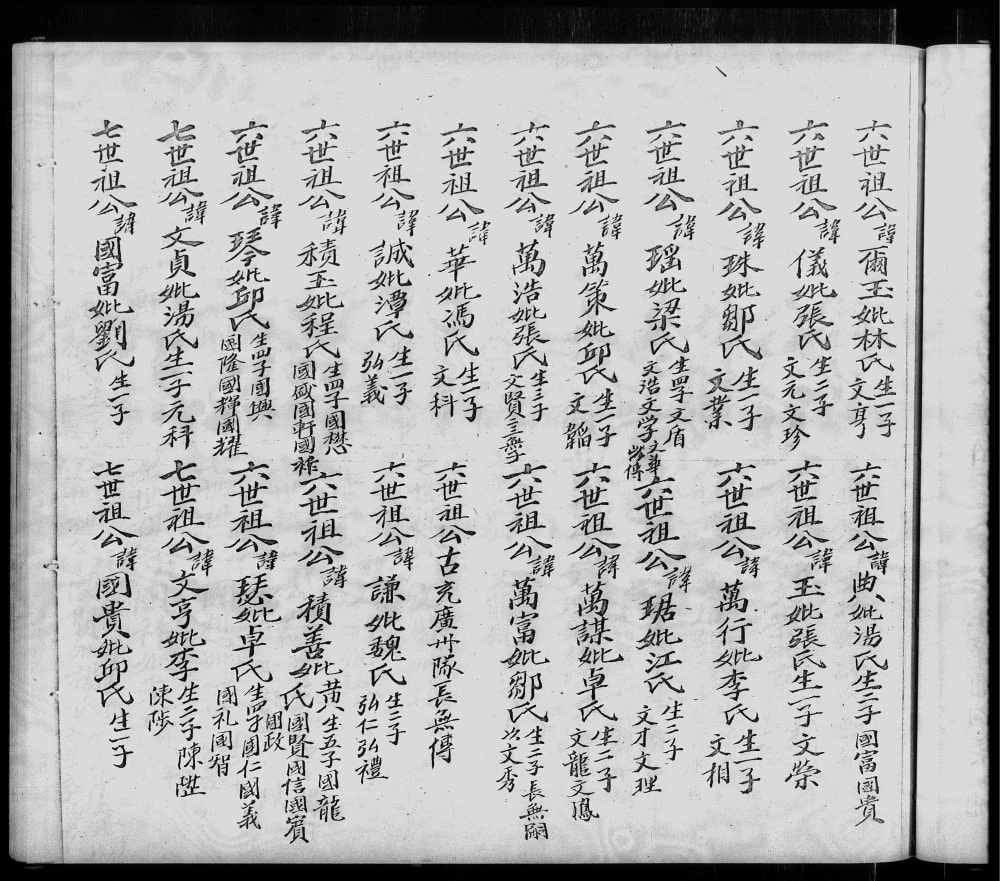 图片[6]-福建福州长乐区陈氏源流族薄电子版PDF下载-中华家谱网