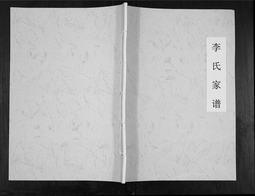图片[1]-山西运城龙居镇长江府村李氏家谱电子版PDF下载-中华家谱网