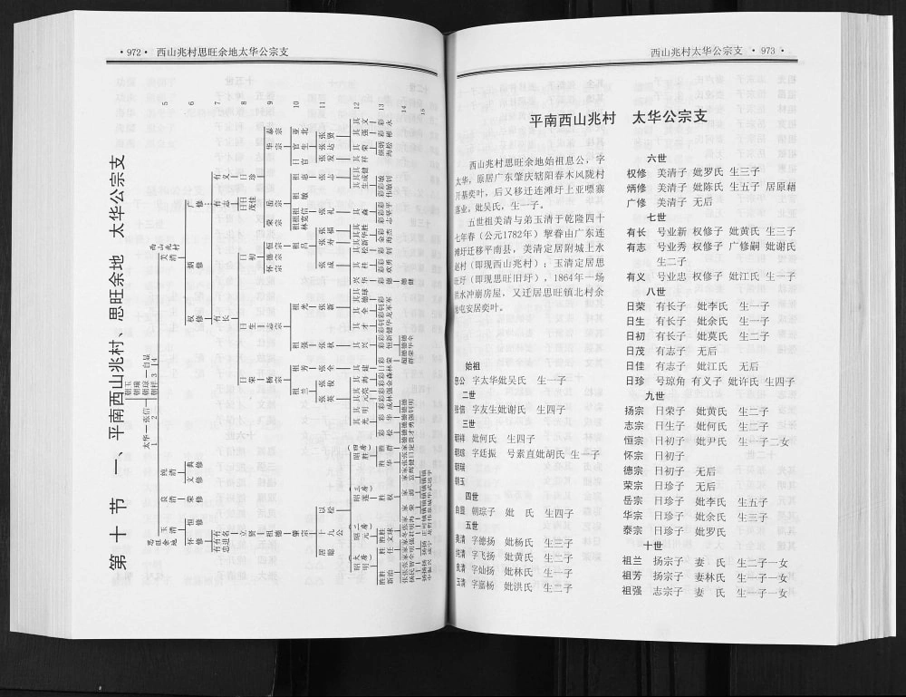图片[8]-广西贵港平南张氏族谱电子版PDF下载-中华家谱网