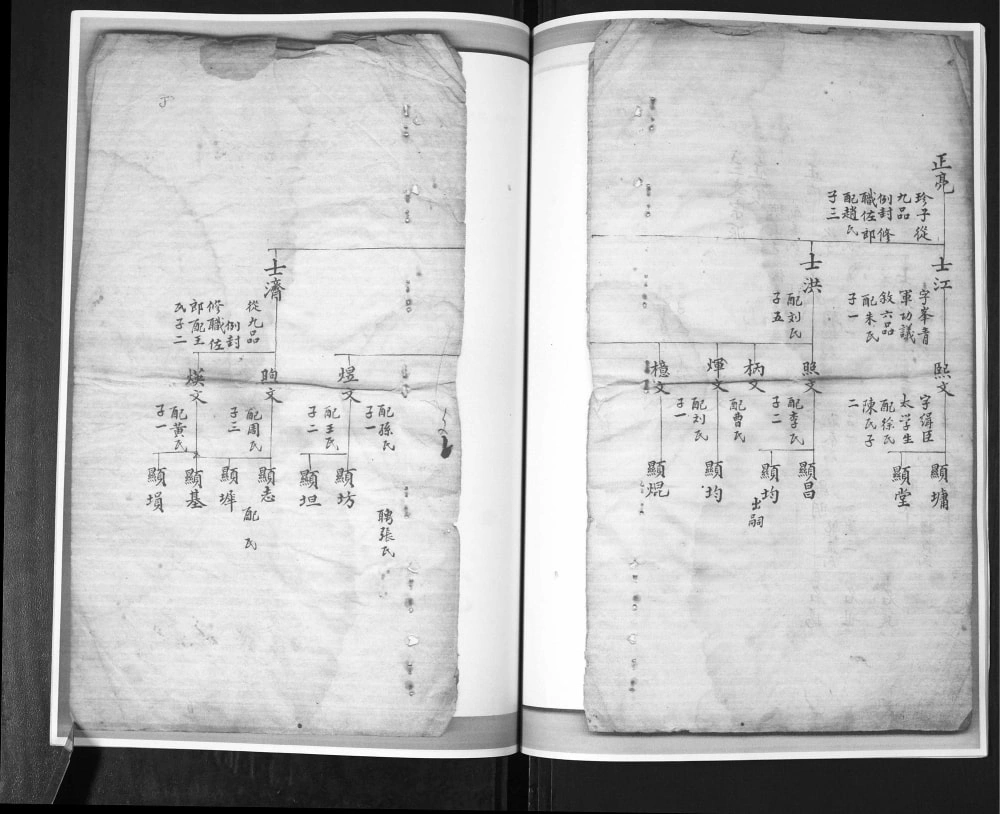 图片[8]-山东青岛即墨西障村尤氏族谱电子版PDF下载-中华家谱网