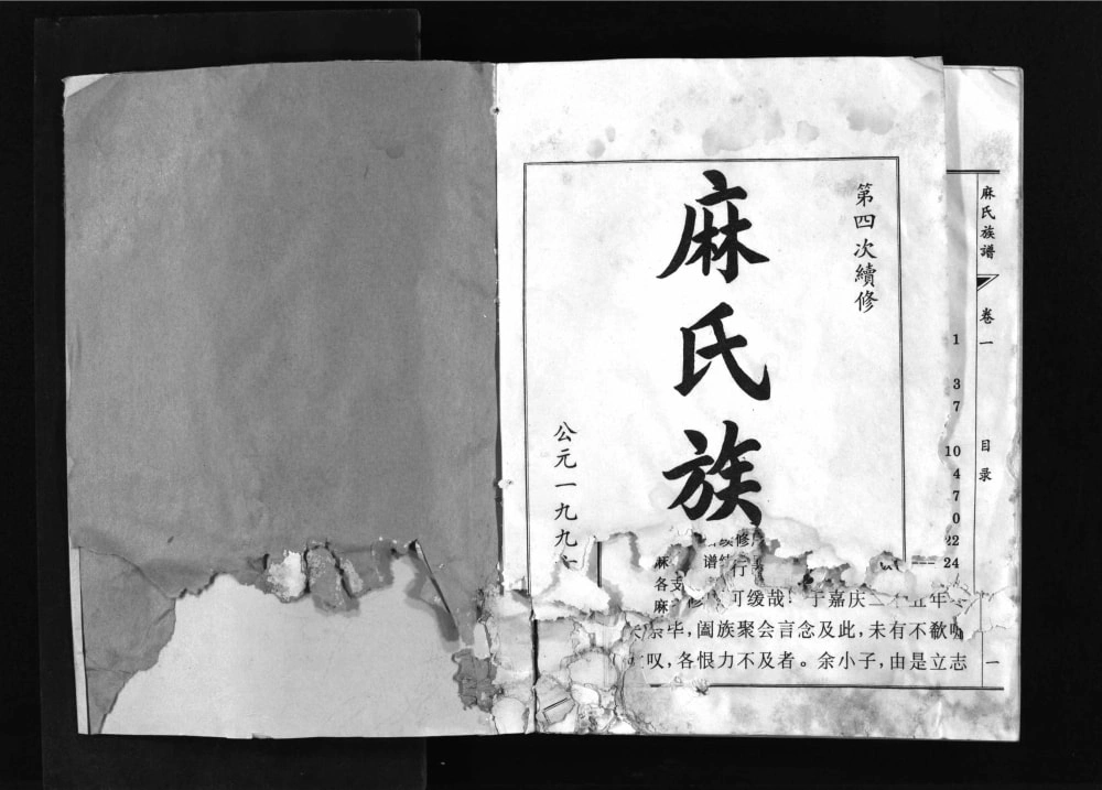 图片[1]-山东淄博邹平麻氏族谱电子版PDF下载-中华家谱网