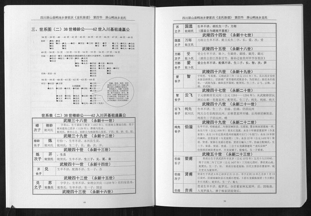 图片[5]-四川宜宾屏山县龙氏族谱电子版PDF下载-中华家谱网