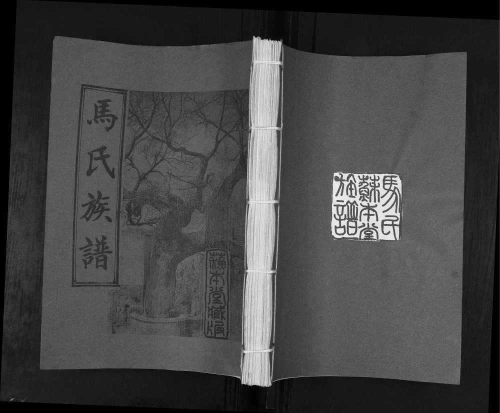 图片[1]-山东青岛城阳区马氏族谱电子版PDF下载-中华家谱网