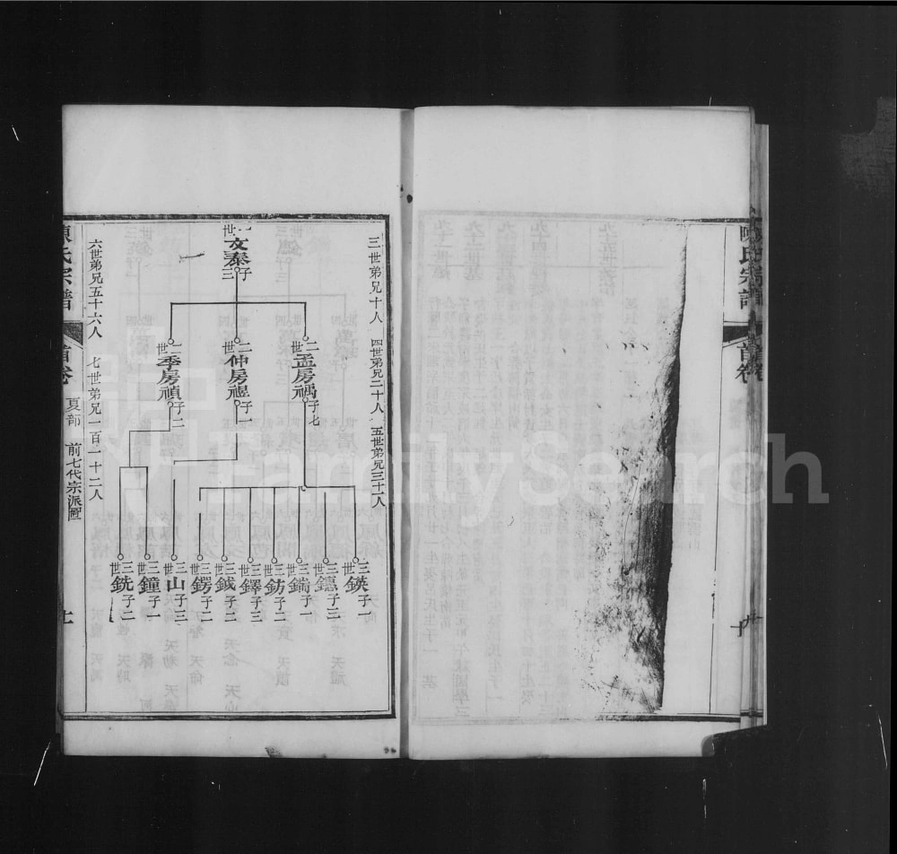 图片[3]-湖北武汉新洲区楚黄松湖陈氏续编本宗谱电子版PDF下载-中华家谱网