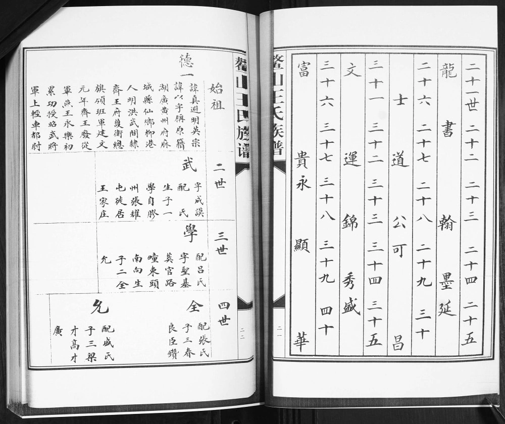 图片[6]-山东青岛即墨大信镇南王家庄鳌山王氏族谱电子版PDF下载-中华家谱网
