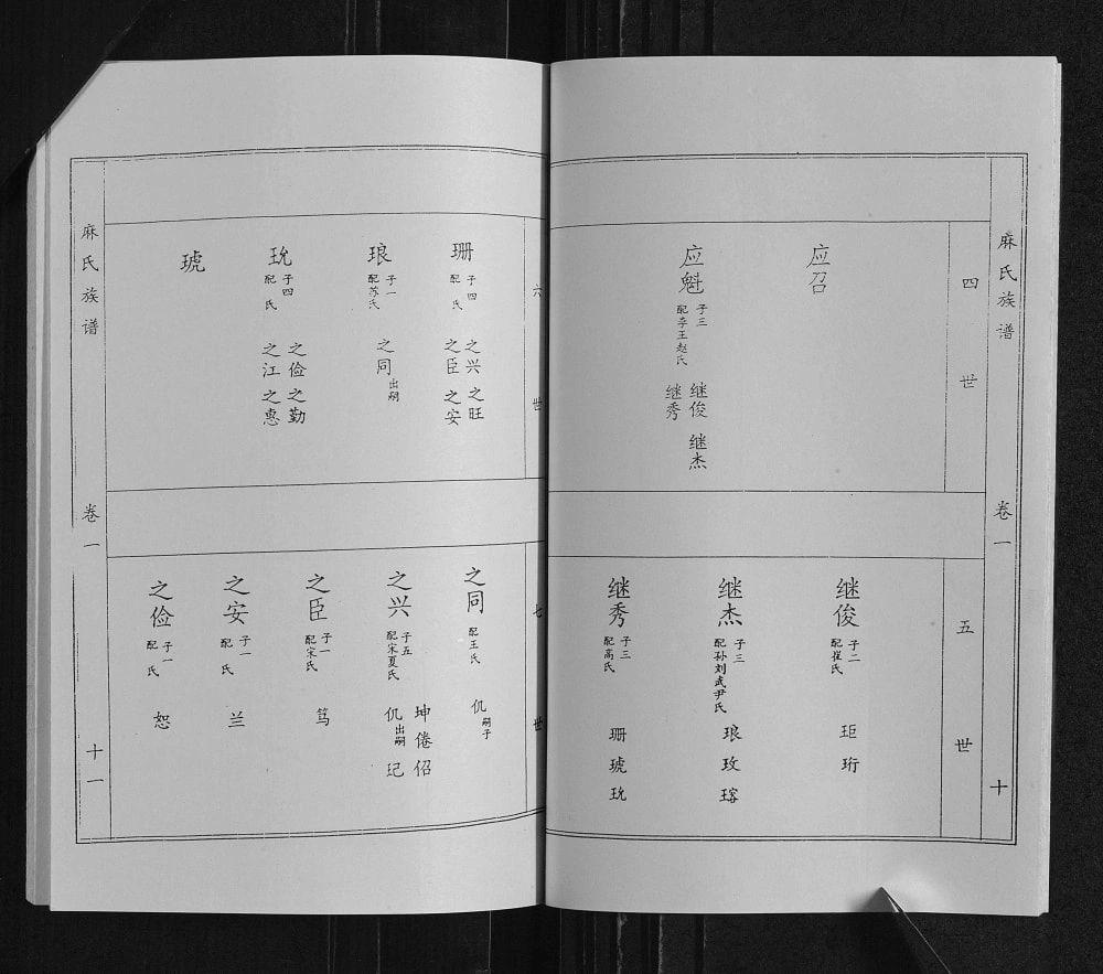 图片[6]-山东临沂沂南县麻氏族谱电子版PDF下载-中华家谱网