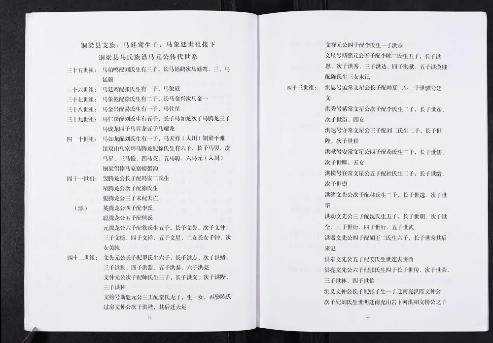 图片[6]-重庆铜梁区马氏宗谱电子版PDF下载-中华家谱网