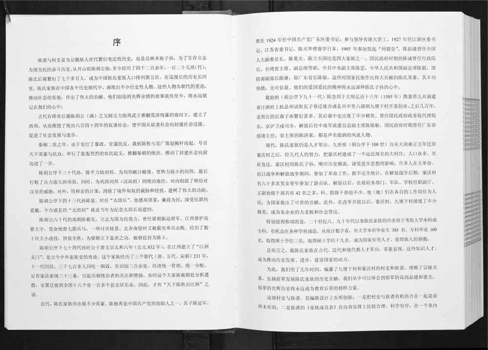 图片[3]-广西北海合浦县豪沃村回眸九塘下村今昔陈氏族谱电子版PDF下载-中华家谱网