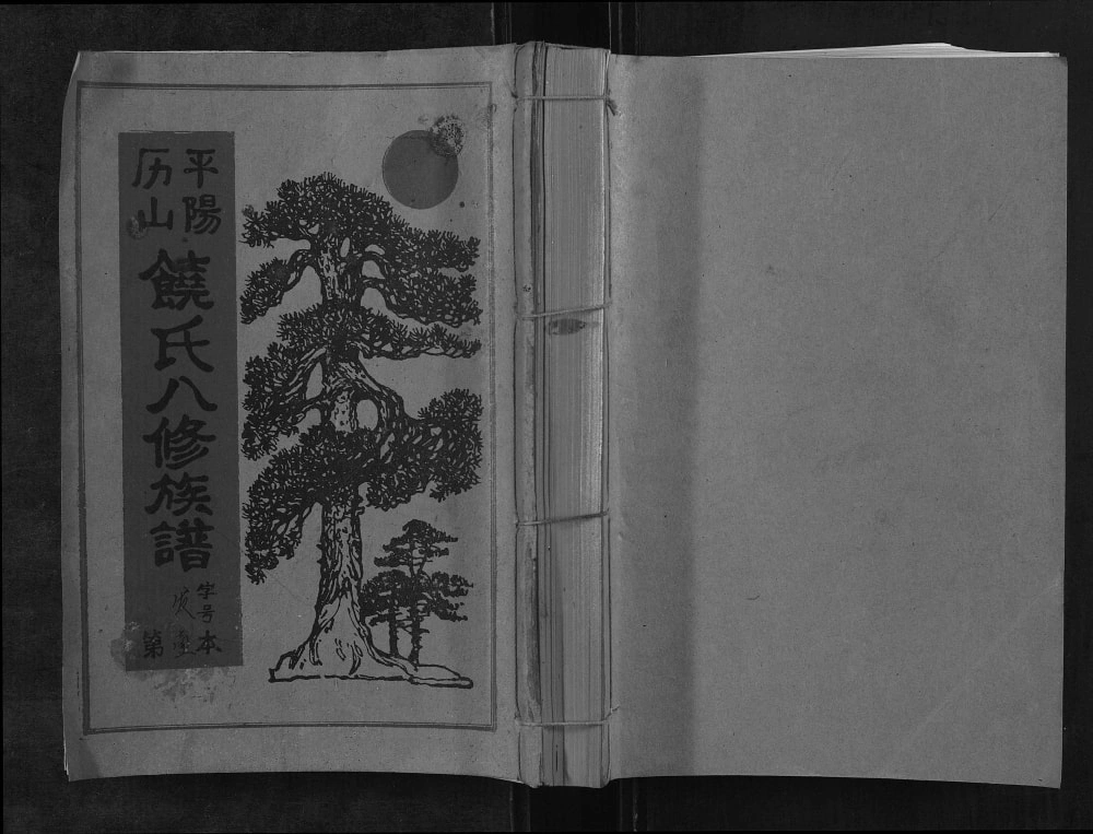 图片[1]-江西赣州宁都县历山饶氏八修族谱电子版PDF下载-中华家谱网