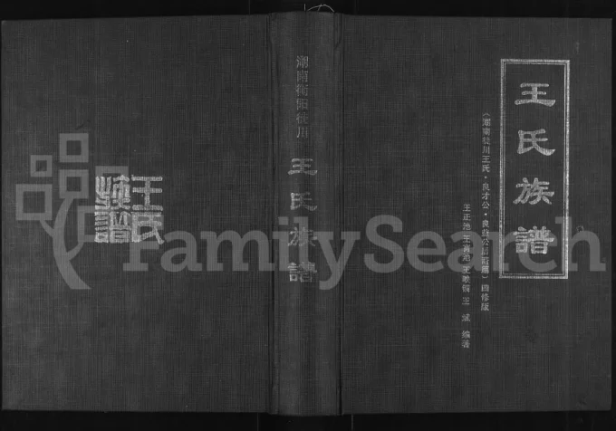 四川南充仪陇县王氏族谱湖南徙川王氏良才公良益公后裔篇电子版PDF下载-中华家谱网