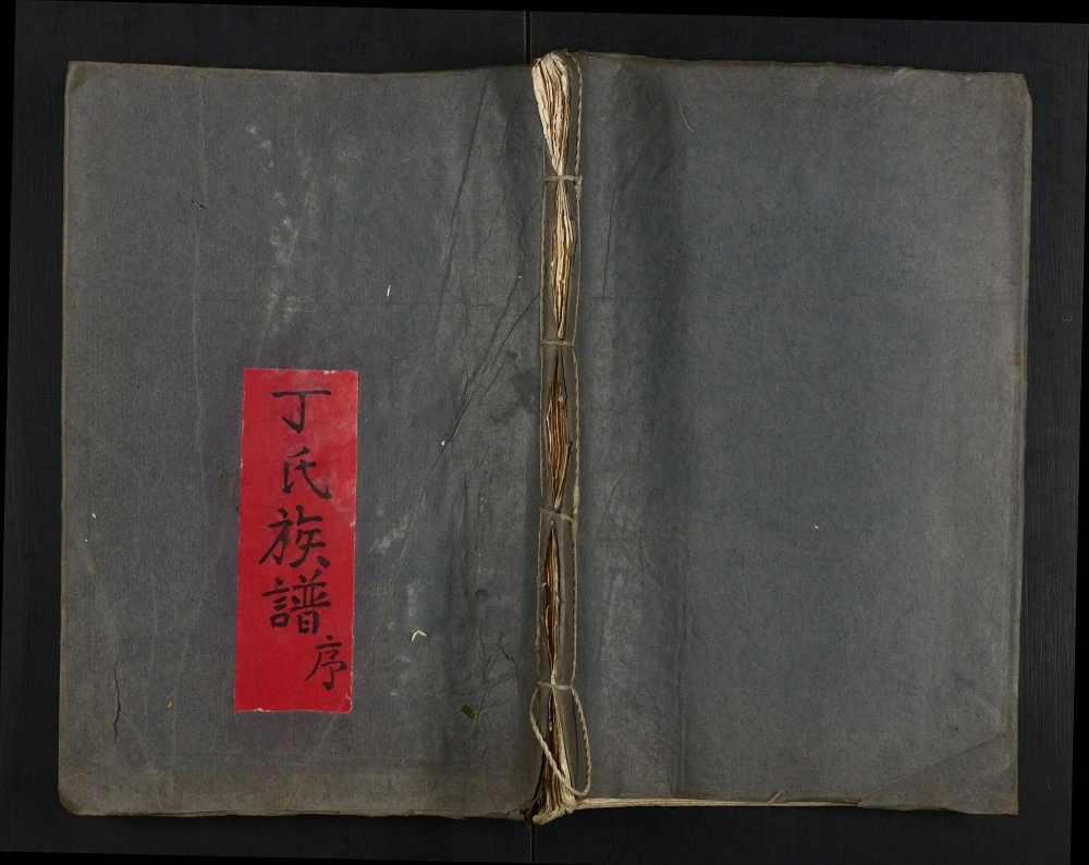 图片[1]-湖北监利丁氏族谱（济阳堂）电子版PDF下载-中华家谱网