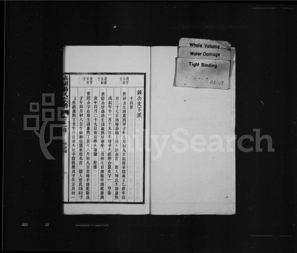 图片[7]-安徽芜湖杨氏宗谱电子版PDF下载-中华家谱网