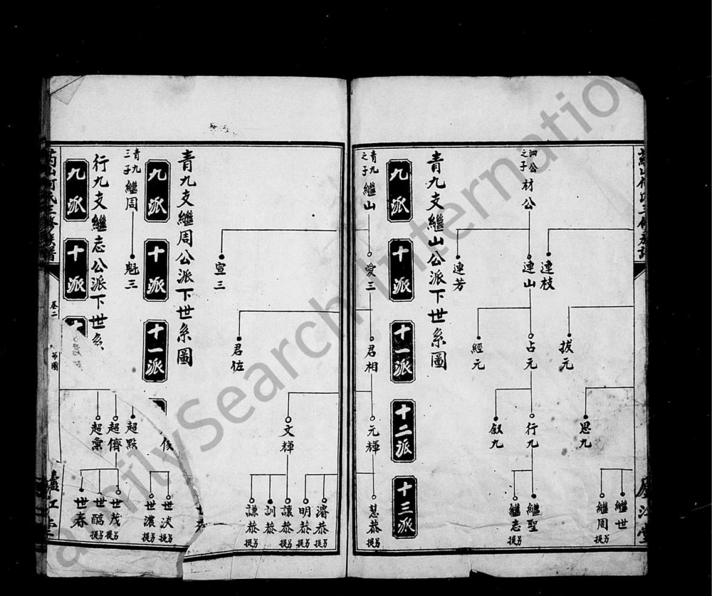 图片[5]-湖南沅江药山何氏三修族谱（庐江堂）电子版PDF下载-中华家谱网