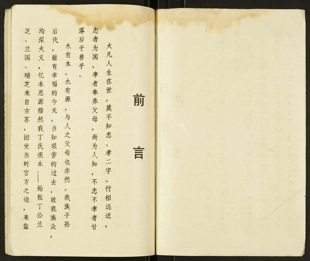 图片[1]-江苏盐城盐东丁家洋马丁氏家谱（济阳堂）电子版PDF下载-中华家谱网