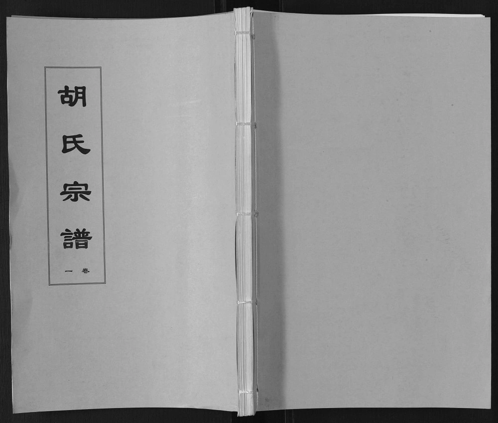 图片[1]-安徽六安舒城县胡氏宗谱（忠德堂）电子版PDF下载-中华家谱网
