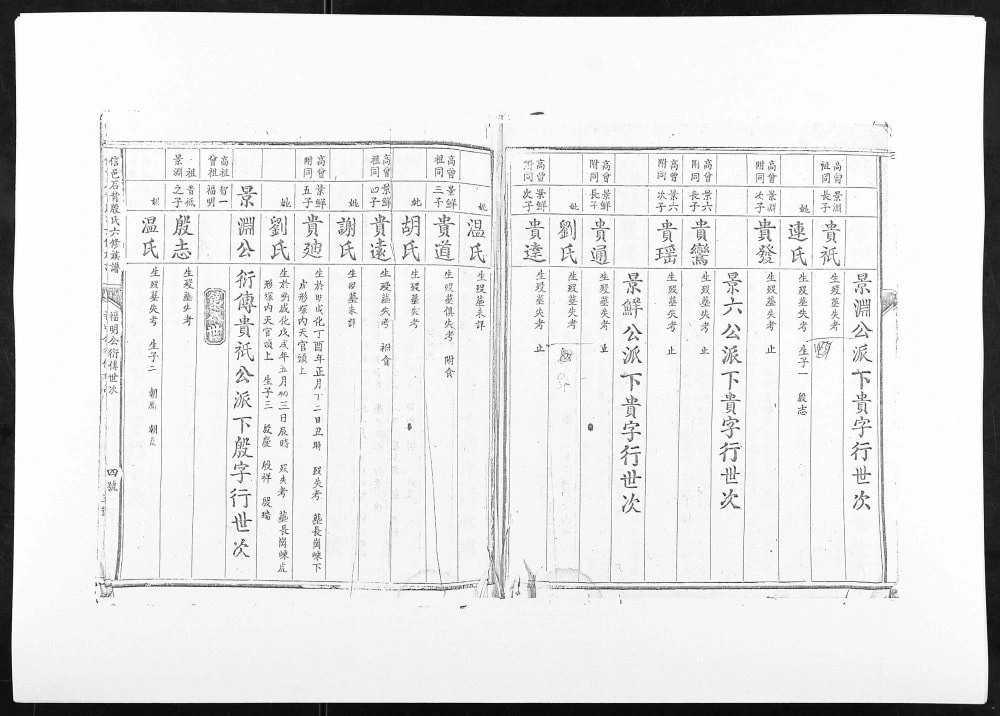 图片[8]-江西赣州信丰县信邑石背殷氏六修族谱电子版PDF下载-中华家谱网