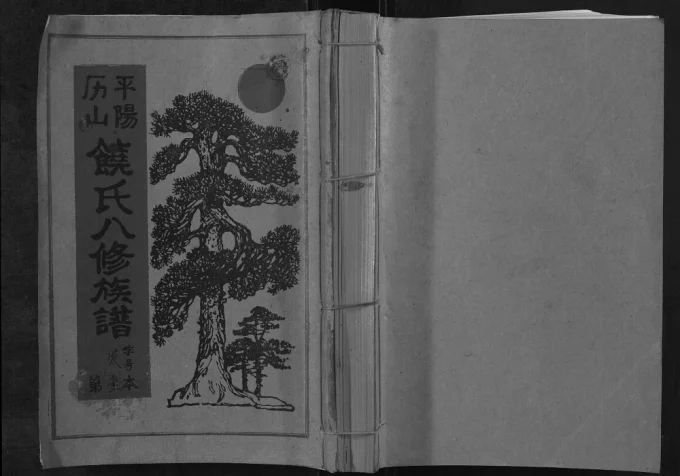 江西赣州宁都县历山饶氏八修族谱电子版PDF下载-中华家谱网