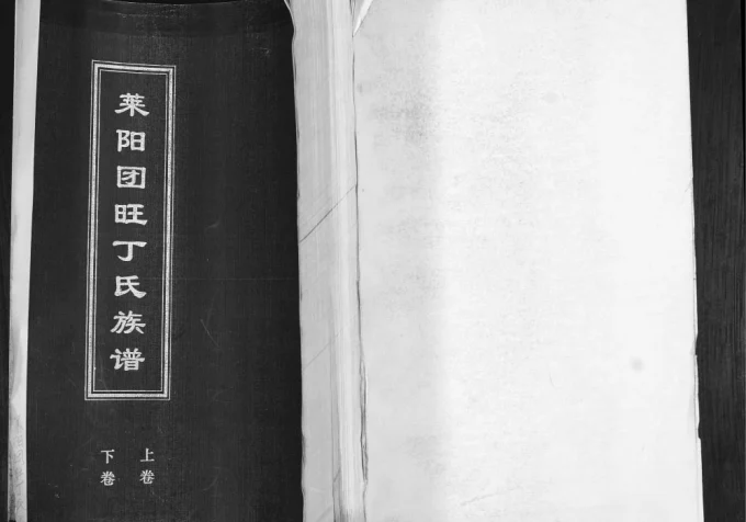 山东莱阳团旺丁氏族谱电子版PDF下载-中华家谱网