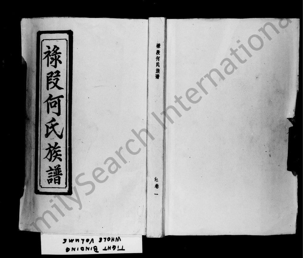 图片[1]-广东茂名电白区禄段何氏族谱电子版PDF下载-中华家谱网