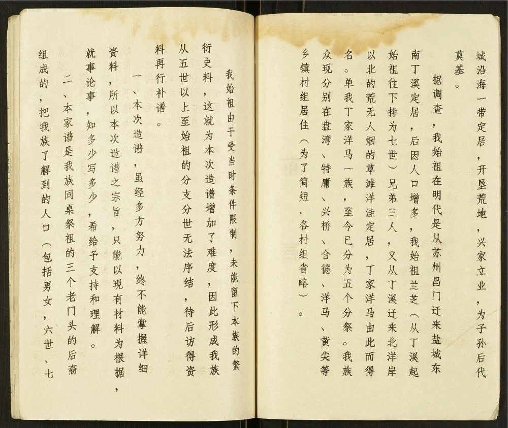 图片[2]-江苏盐城盐东丁家洋马丁氏家谱（济阳堂）电子版PDF下载-中华家谱网