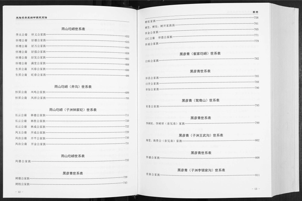 图片[8]-陕西榆林米脂泰安里四甲李氏宗谱电子版PDF下载-中华家谱网