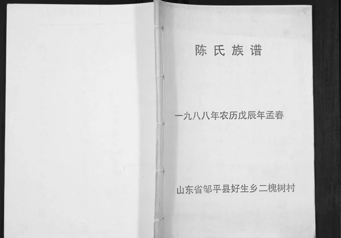山东邹平好生乡二槐树村陈氏族谱电子版PDF下载-中华家谱网