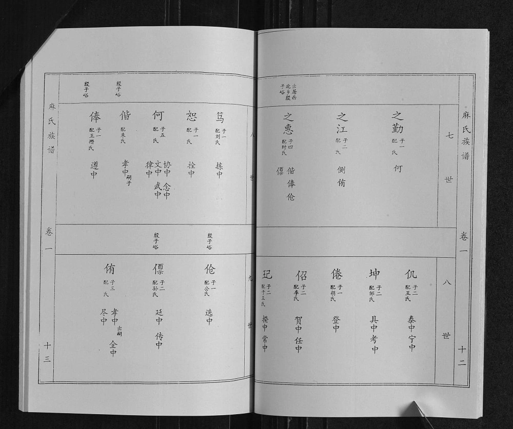 图片[7]-山东临沂沂南县麻氏族谱电子版PDF下载-中华家谱网