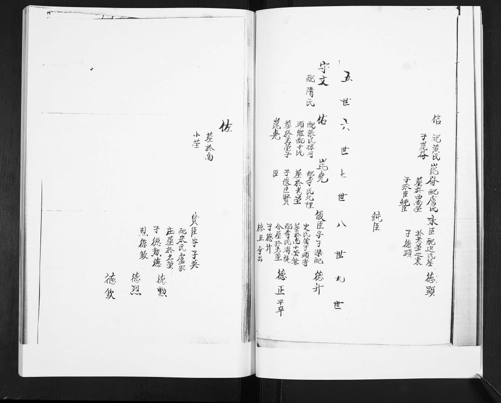 图片[6]-山东日照东港区高旺庄胡氏族谱电子版PDF下载-中华家谱网
