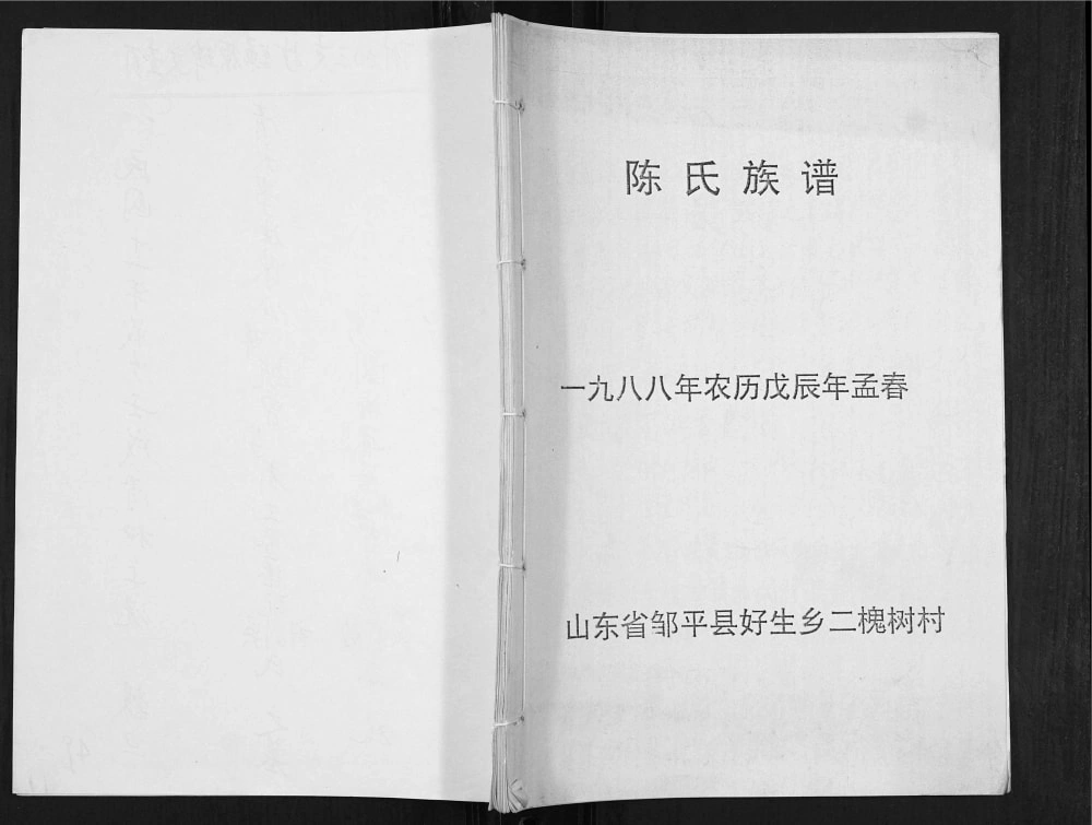 图片[1]-山东邹平好生乡二槐树村陈氏族谱电子版PDF下载-中华家谱网