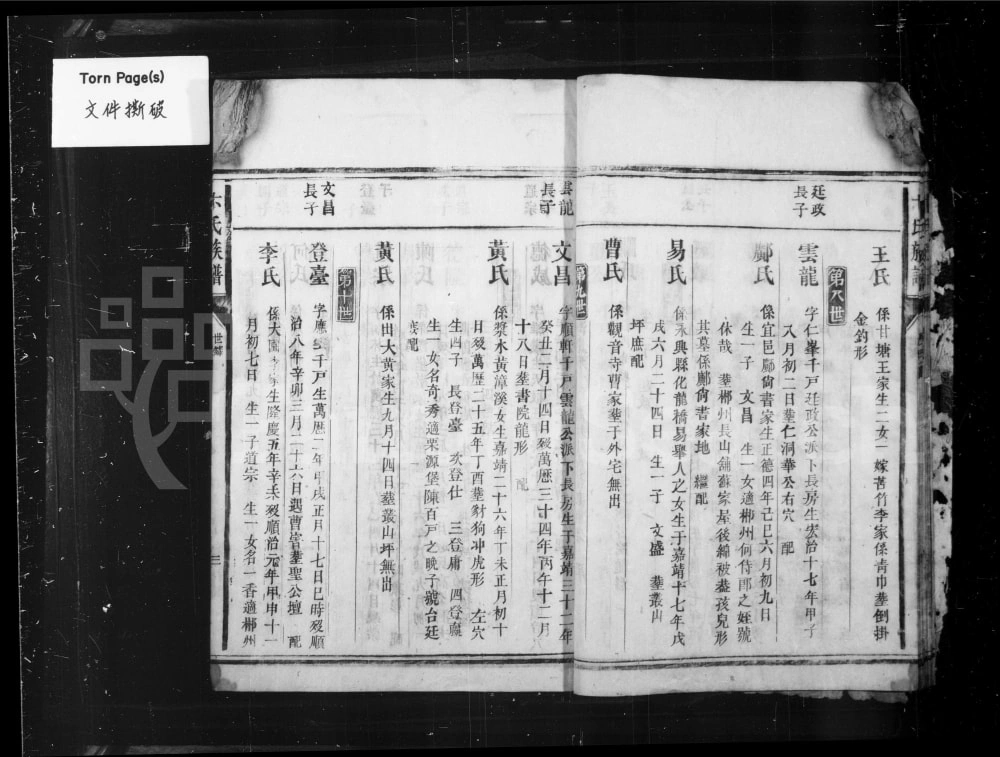 图片[7]-湖南郴州宜章县卞氏族谱电子版PDF下载-中华家谱网