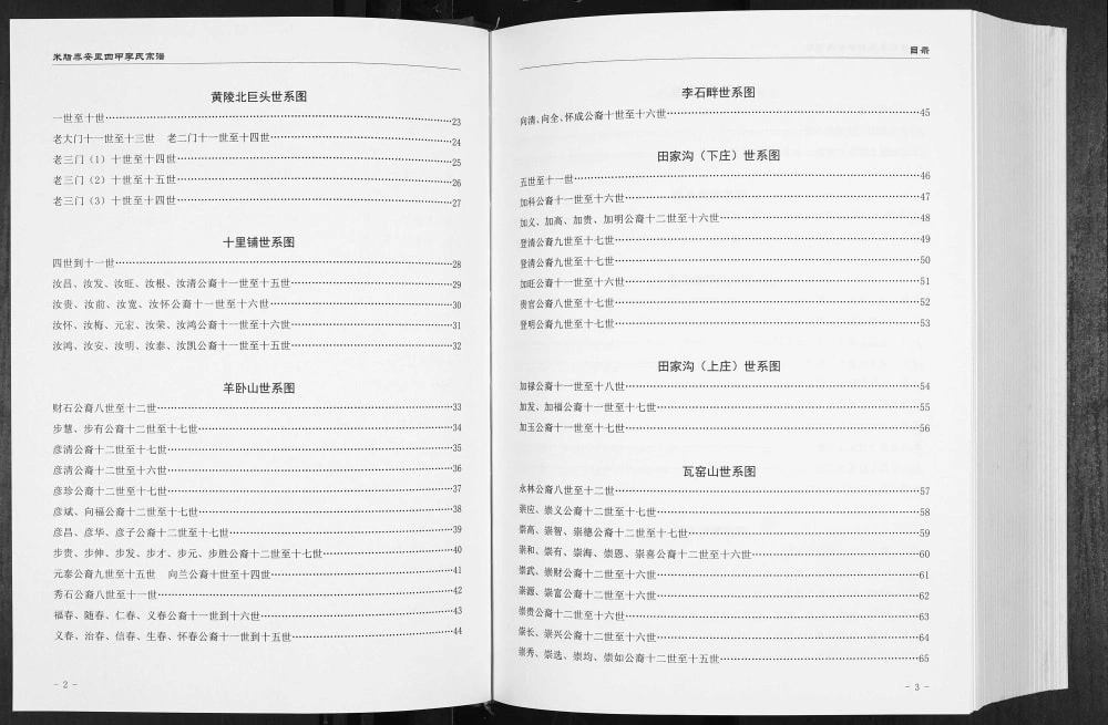 图片[3]-陕西榆林米脂泰安里四甲李氏宗谱电子版PDF下载-中华家谱网
