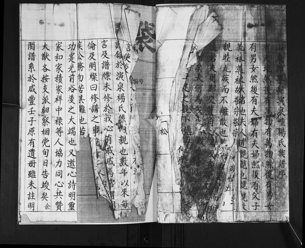 图片[2]-山东青岛即墨演泉杨氏族谱电子版PDF下载-中华家谱网