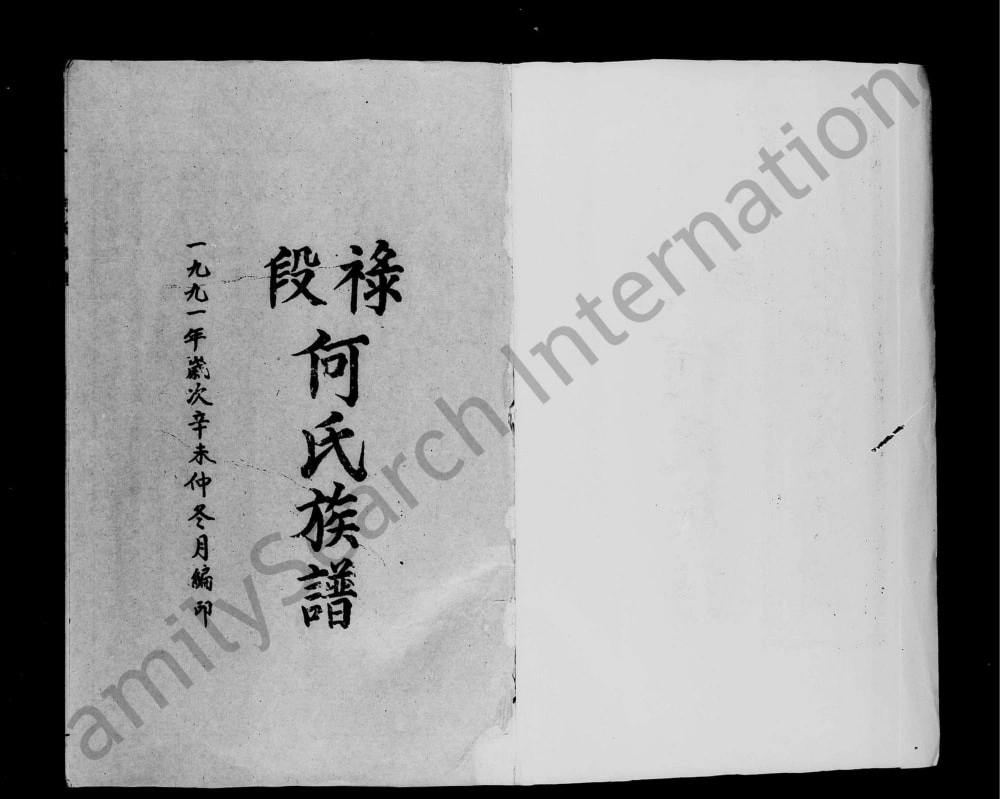 图片[2]-广东茂名电白区禄段何氏族谱电子版PDF下载-中华家谱网