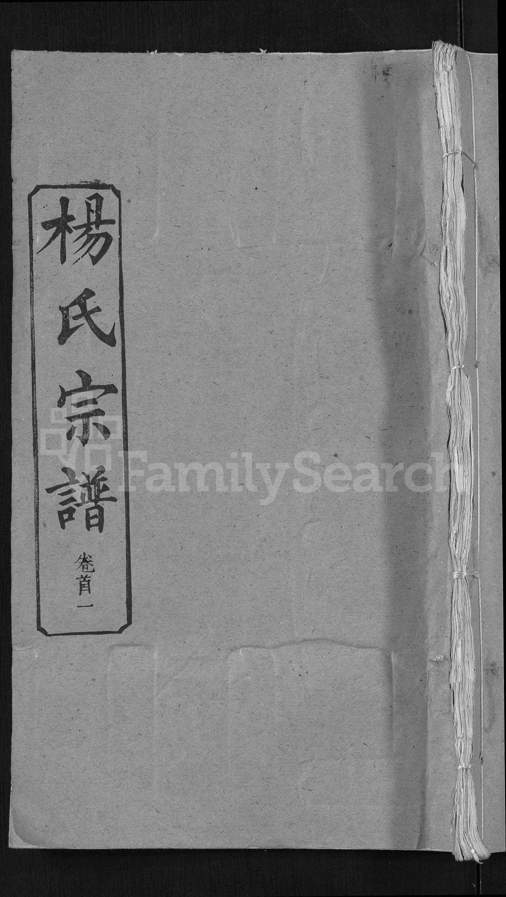 图片[1]-湖北黄冈杨氏宗谱（清白堂）电子版PDF下载-中华家谱网