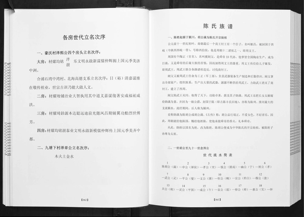 图片[4]-广西北海合浦县豪沃村回眸九塘下村今昔陈氏族谱电子版PDF下载-中华家谱网