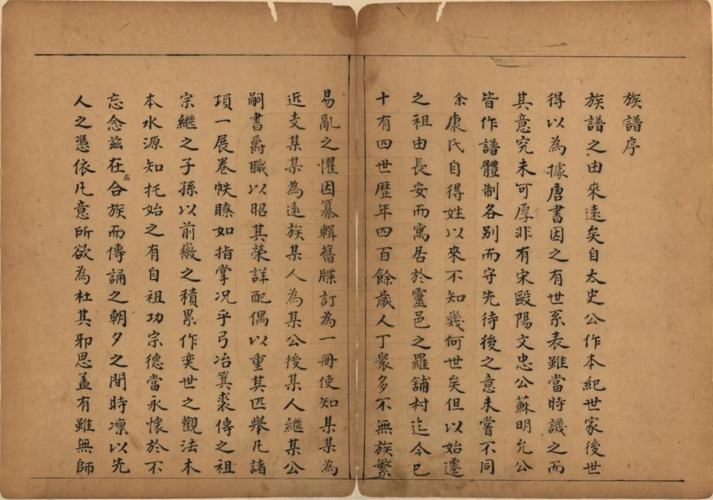 图片[2]-山西晋中灵石县康氏家谱电子版PDF下载-中华家谱网