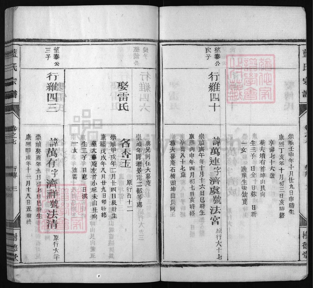 图片[6]-浙江丽水蓝氏宗谱（树德堂、种玉堂）电子版PDF下载-中华家谱网