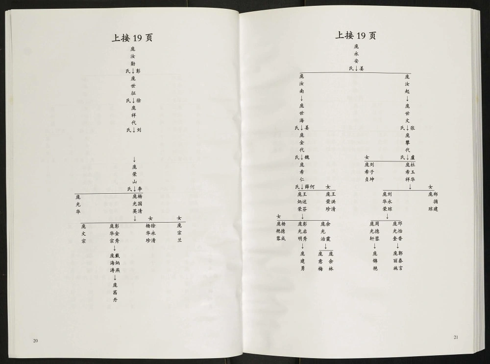 图片[8]-四川雅安名山区川西庞氏宗谱电子版PDF下载-中华家谱网