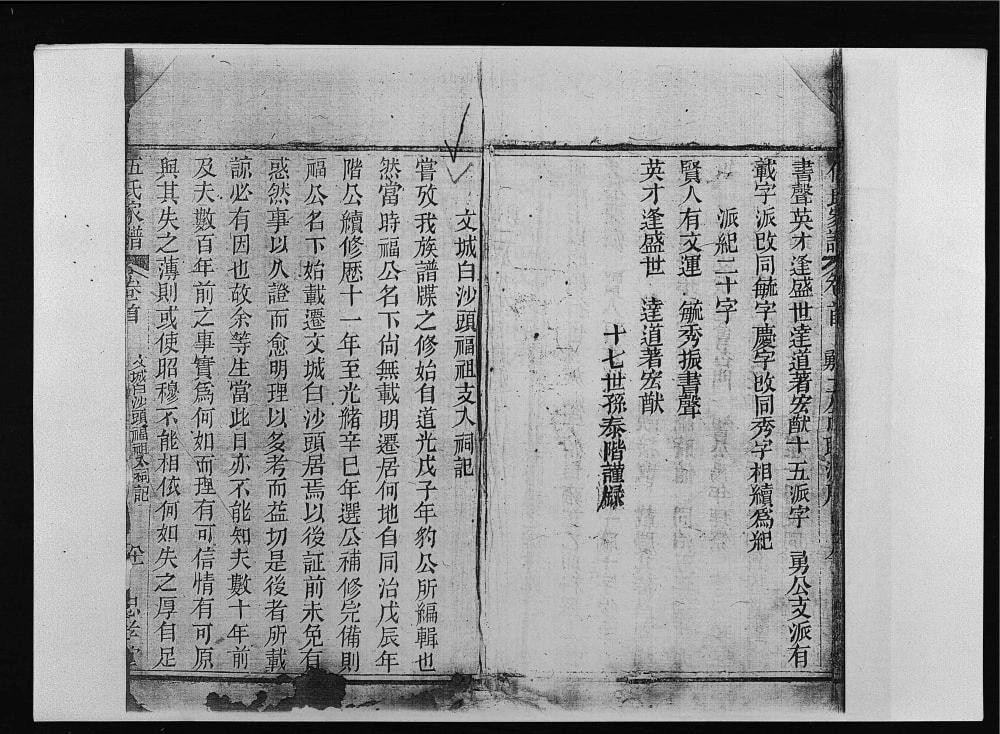 图片[5]-海南文昌伍氏族谱（忠孝堂）电子版PDF下载-中华家谱网