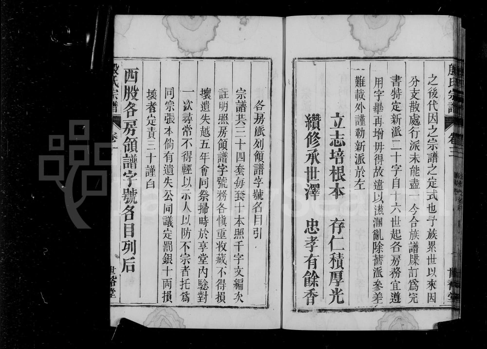 图片[4]-安徽桐城殷氏宗谱（世裕堂）电子版PDF下载-中华家谱网