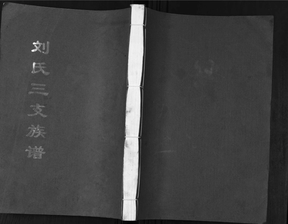 图片[1]-山东潍坊刘氏三支族谱电子版PDF下载-中华家谱网